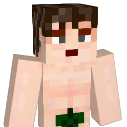 kiaracj Minecraft avatar bust