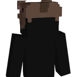 killllua_ Minecraft avatar bust