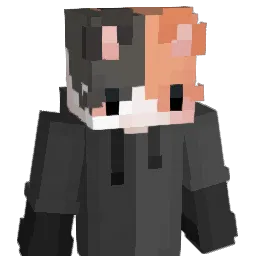 killuahxhs Minecraft avatar bust