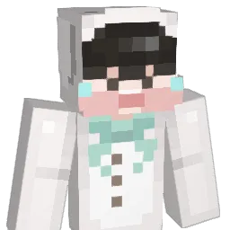 kim_zigun's Minecraft skin