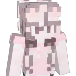 kimyeojuS2 Minecraft avatar bust