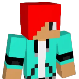 kiran1339 Minecraft avatar bust