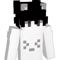 kirbbz_ Minecraft avatar bust