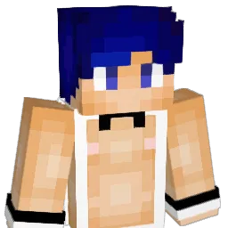 kisaki201 Minecraft avatar bust
