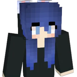 kitprotection's Minecraft skin