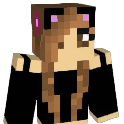 kittykat100's Minecraft skin
