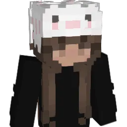 klsmet's Minecraft skin