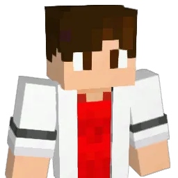 kminimk Minecraft avatar bust