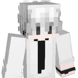 kmng__ Minecraft avatar bust