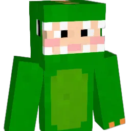 kn7934 Minecraft avatar bust