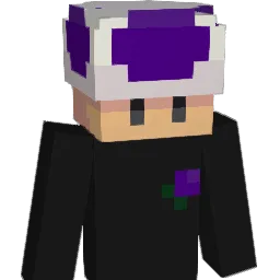 knepnut Minecraft avatar bust