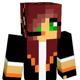 knightsage41 Minecraft avatar bust
