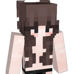 knux4748 Minecraft avatar bust