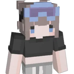 koala_o Minecraft avatar bust