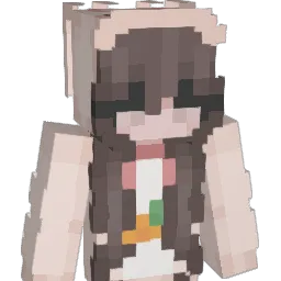 koiflop Minecraft avatar bust