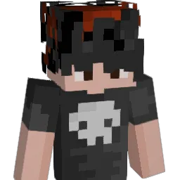 kokodzambo_ Minecraft avatar bust