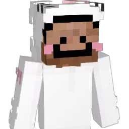 kokolo_1 Minecraft avatar bust