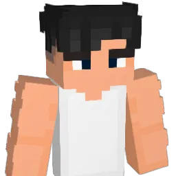 kokoloko221 Minecraft avatar bust