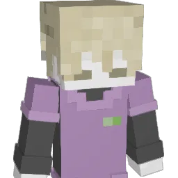 kokoz___ Minecraft avatar bust