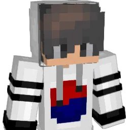 komdonggy Minecraft avatar bust