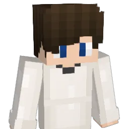 konkurrenzlos Minecraft avatar bust