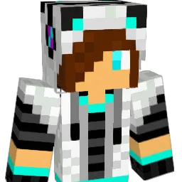 koosjenl Minecraft avatar bust