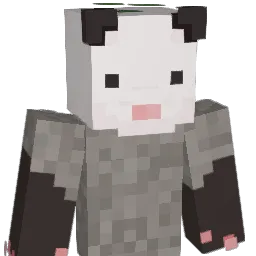 kopaite