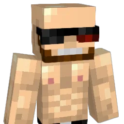 koro666 Minecraft avatar bust