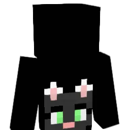 kris72730 Minecraft avatar bust