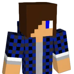 krystof0071 Minecraft avatar bust