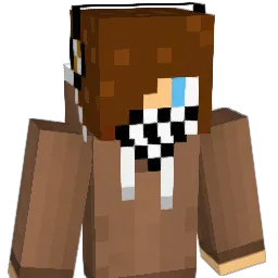 ksm1116 Minecraft avatar bust