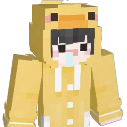 ksw3491 Minecraft avatar bust