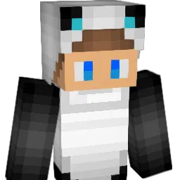 ktc100's Minecraft skin