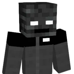 kubas2015xx Minecraft avatar bust