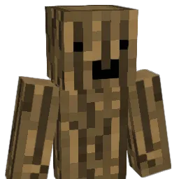 kubek20013 Minecraft avatar bust