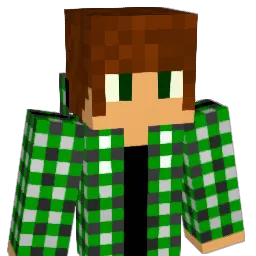 l301 Minecraft avatar bust