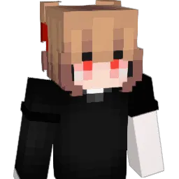 lPov Minecraft avatar bust