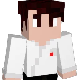 l_David_l Minecraft avatar bust