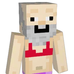la_french Minecraft avatar bust