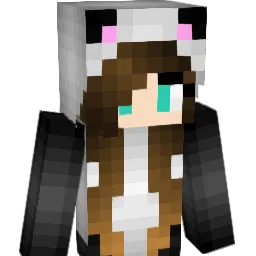 laconner14 Minecraft avatar bust