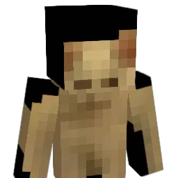lan_0405 Minecraft avatar bust