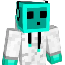 lane1227 Minecraft avatar bust