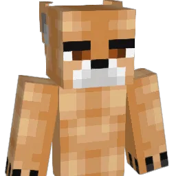 lank9000 Minecraft avatar bust
