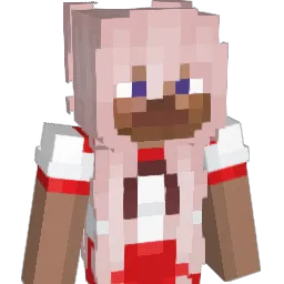 latl Minecraft avatar bust