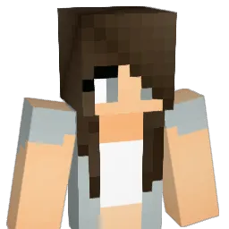 lau113's Minecraft skin