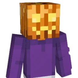 lavenderbouquet Minecraft avatar bust