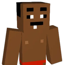 lavix__ Minecraft avatar bust
