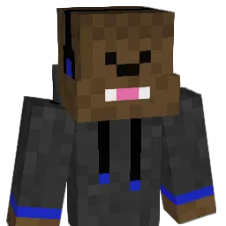 lax8276 Minecraft avatar bust