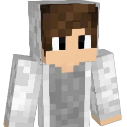 lba7530 Minecraft avatar bust