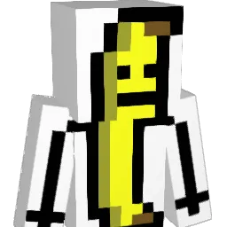 lbn75 Minecraft avatar bust